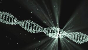 美연쇄살인마 테드 번디, DNA검사로 52년 전 미제사건 범행 확인