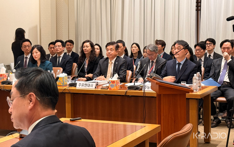 뉴욕총영사관 국감, 민원실 ‘전면 예약제’ 혼선 집중 질타